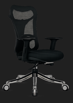 ELVORA ergonomic mesh office chair Delhi premium seating